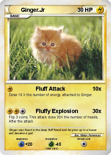 Pokemon Ginger.Jr