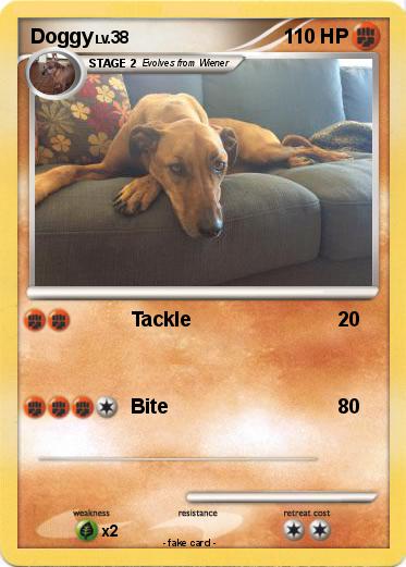 Pokemon Doggy