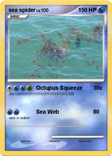 Pokemon sea spider