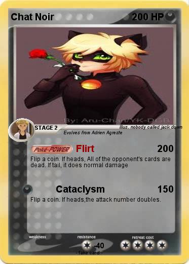 Pokemon Chat Noir