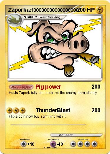 Pokemon Zapork