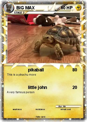 Pokemon BIG MAX