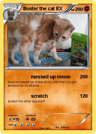 Pokemon Buster the cat EX