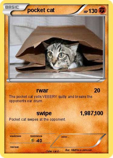 Pokemon pocket cat