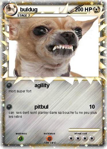 Pokemon buldug