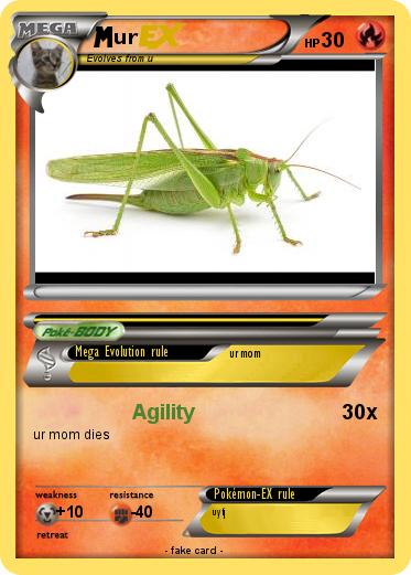 Pokemon ur