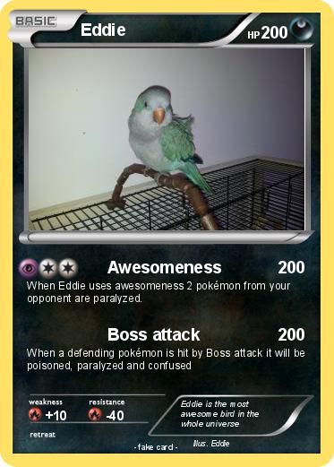 Pokemon Eddie