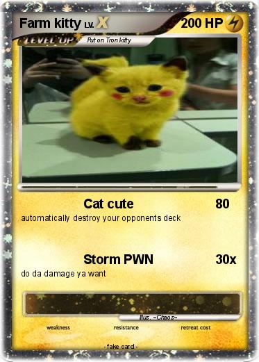 Pokemon Farm kitty