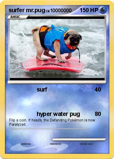 Pokemon surfer mr.pug