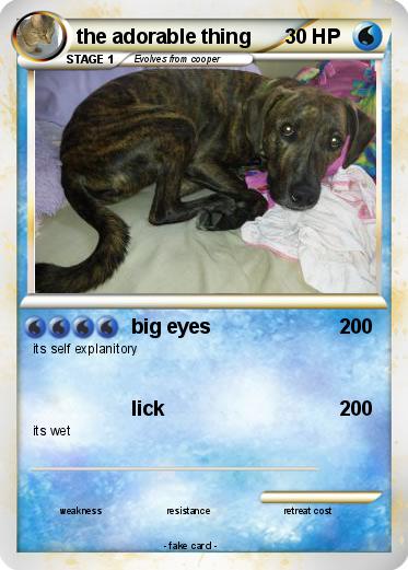 Pokemon the adorable thing