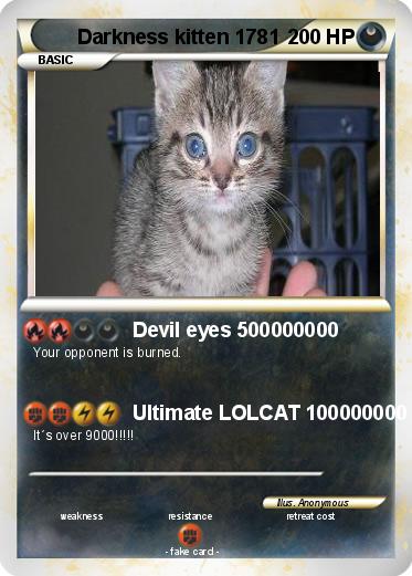 Pokemon Darkness kitten 1781