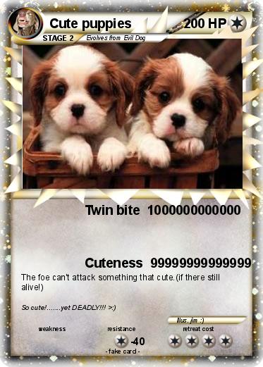 Pokemon Cute puppies
