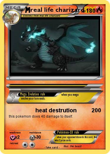 Pokemon real life charizard