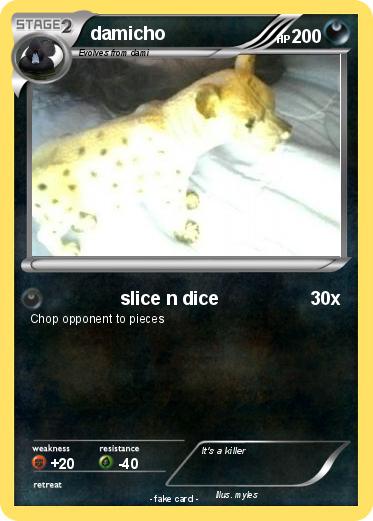 Pokemon damicho