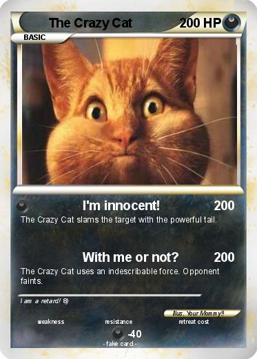 Pokemon The Crazy Cat