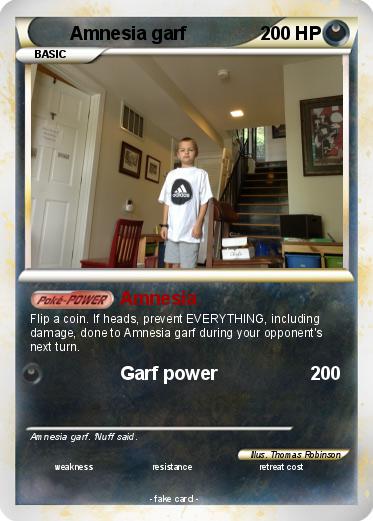 Pokemon Amnesia garf