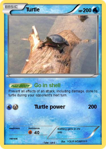 Pokemon Turtle