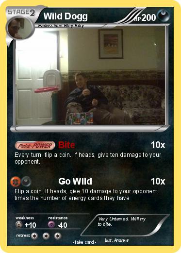 Pokemon Wild Dogg