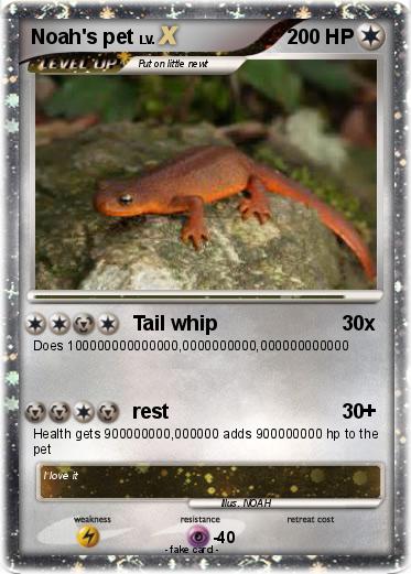 Pokemon Noah's pet