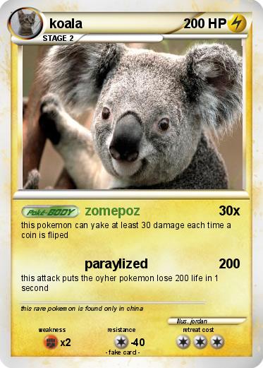 Pokemon koala