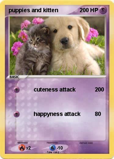 Pokemon puppies and kitten