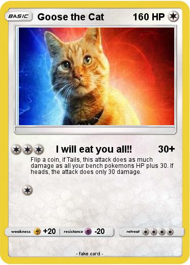 Pokemon Goose the Cat