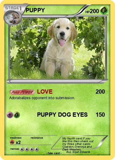 Pokemon PUPPY