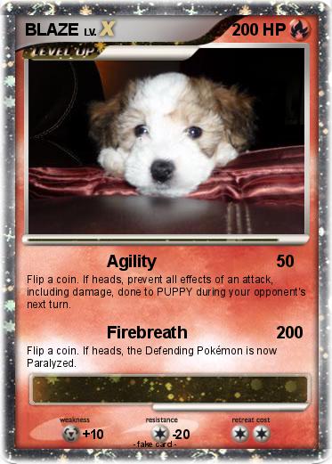 Pokemon BLAZE