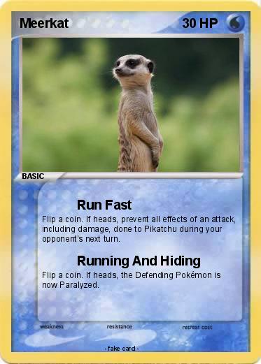 Pokemon Meerkat