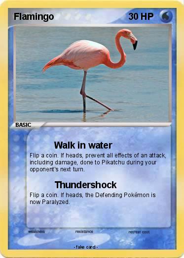 Pokemon Flamingo