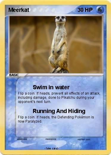 Pokemon Meerkat