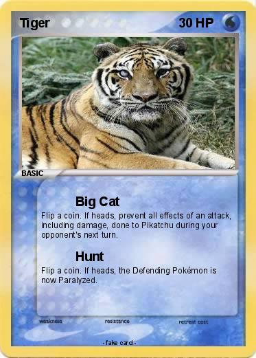 Pokemon Tiger