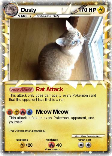 Pokemon Dusty