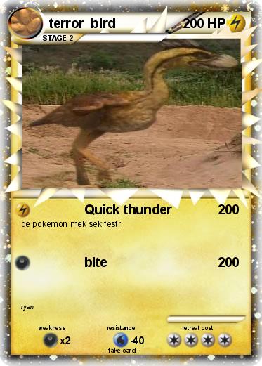 Pokemon terror  bird Pokemon terror  bird
