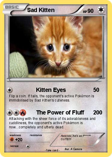 Pokemon Sad Kitten
