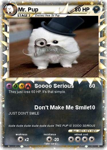 Pokemon Mr. Pup