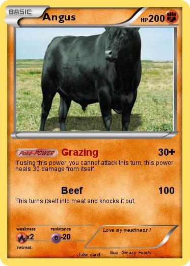 Pokemon Angus