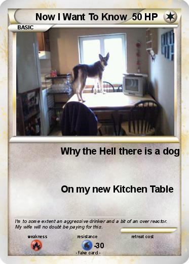 Pokemon Now I Want To Know Pokemon Now I Want To Know