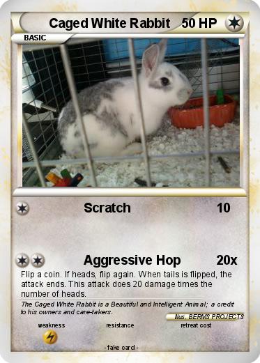 Pokemon Caged White Rabbit