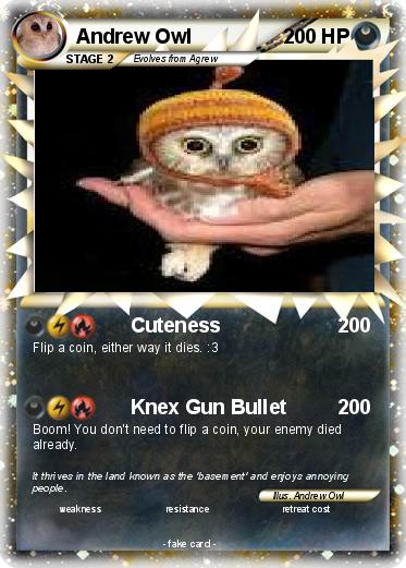 Pokemon Andrew Owl