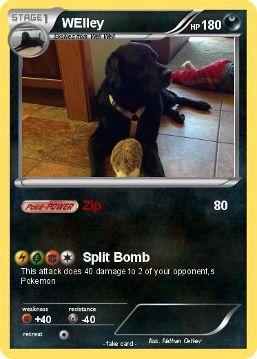 Pokemon WElley