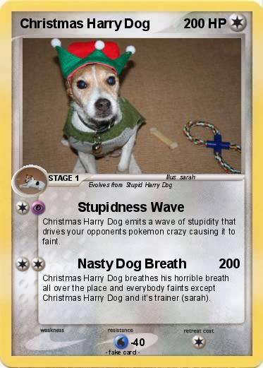 Pokemon Christmas Harry Dog