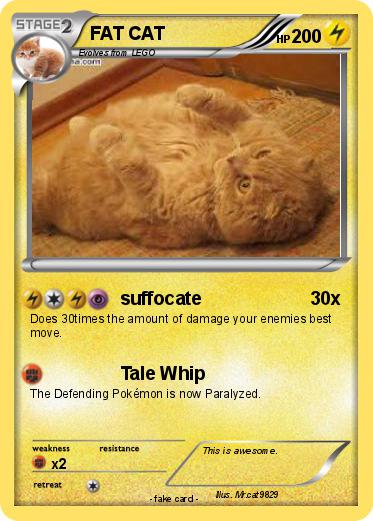 Pokemon FAT CAT