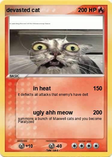 Pokemon devasted cat