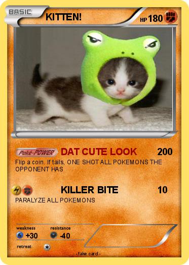 Pokemon KITTEN!
