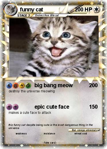 Pokemon funny cat