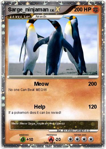 Pokemon Sarge_ninjaman