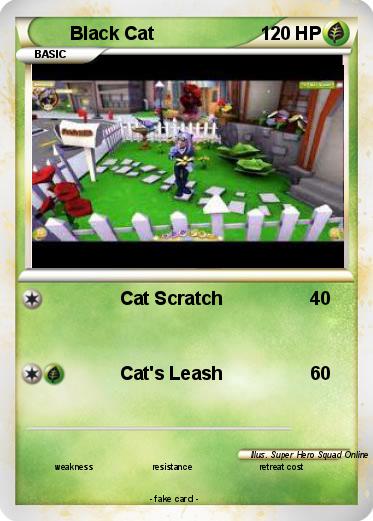 Pokemon Black Cat
