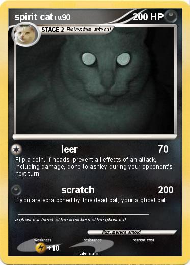 Pokemon spirit cat