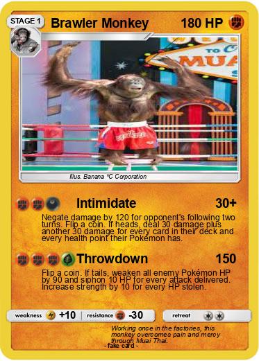 Pokemon Brawler Monkey